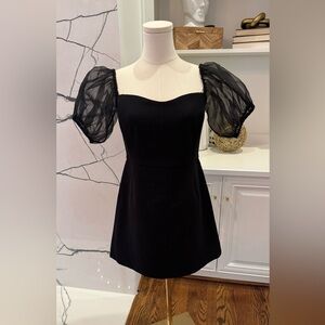 French Connection black dress with sheer puff sleeves.